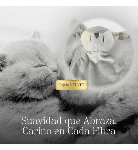 Doudou and 2 Personalized Pacifiers with Baby’s Name | Includes Pacifier Clip