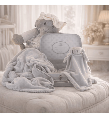Personalized Baby Suitcase Set | Blanket & Comforter with Baby’s Name