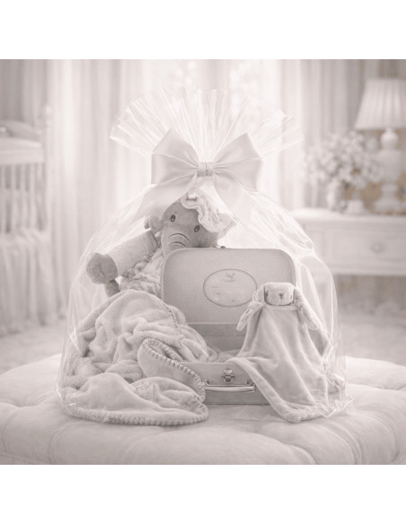 Personalized Baby Suitcase Set | Blanket & Comforter with Baby’s Name