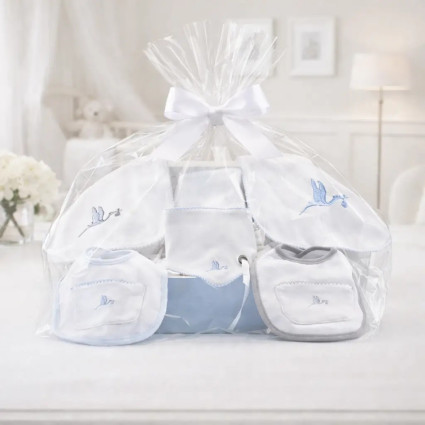 Personalized Baby Bibs Gift Set | Embroidered Name for Newborn