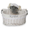 Newborn Baby Hamper & Baby Gift Baskets | BebedeParis  Twins Trousseau Baby Basket