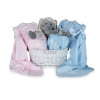 Newborn Baby Hamper & Baby Gift Baskets | BebedeParis  Twins Trousseau Baby Basket