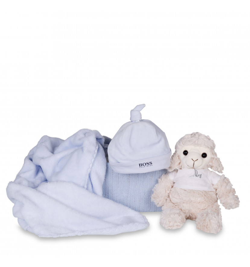 Newborn Baby Hamper & Baby Gift Baskets Hugo Boss Beanie Baby Gift Hamper