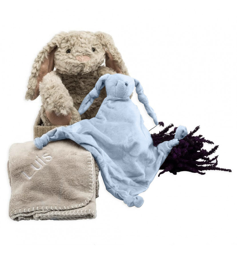 Newborn Baby Hamper & Baby Gift Baskets Bunny comfort baby basket