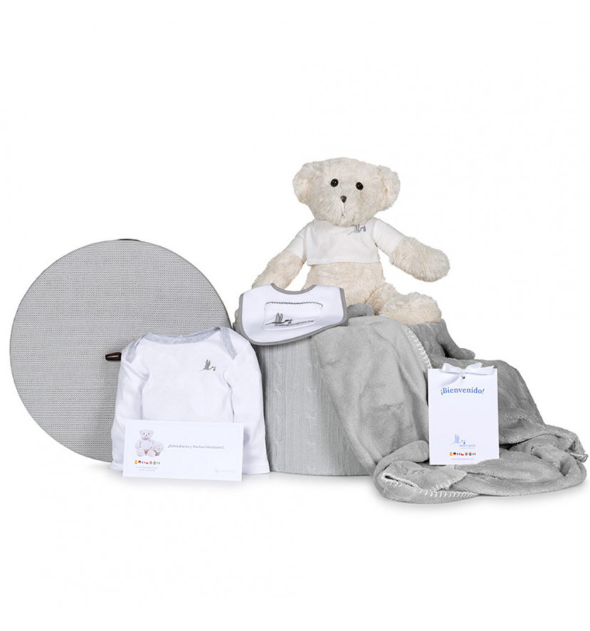 Newborn Baby Hamper & Baby Gift Baskets Embroidered blanket basket bib bodysuit and teddy bear