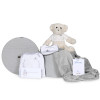 Newborn Baby Hamper & Baby Gift Baskets Embroidered blanket basket bib bodysuit and teddy bear