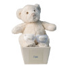 Get along Pack of two personalised dummies and teddy bear