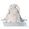 Personalised Baby Gifts  Pack of comforter 2 personalised dummies and dummy clip