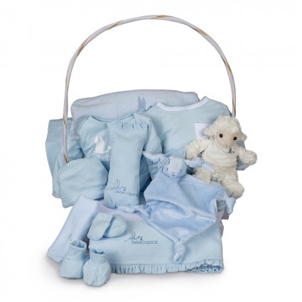 Newborn Baby Hamper & Baby Gift Baskets Complete Serenity Baby Gift Basket blue